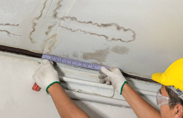 Reliable Mold Remediation contractor in Agness, OR by Water Damage Irwin